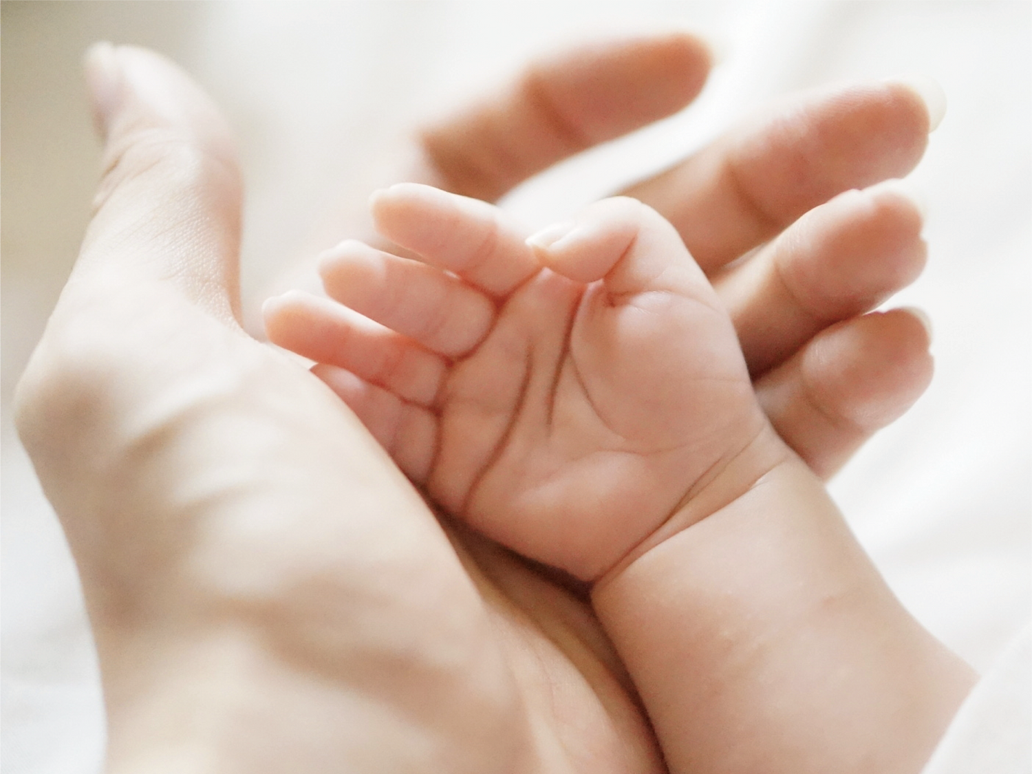 ヒロシ君が考えたシリーズ誕生秘話ー驚きの発見と安全性の大切さイメージ