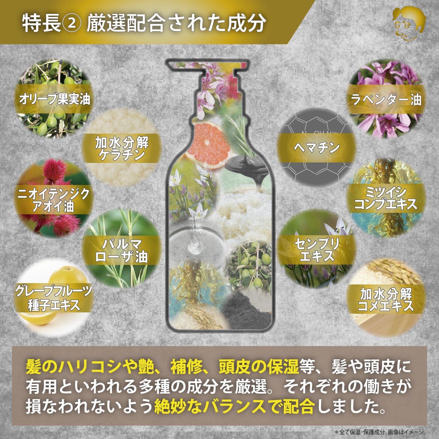 ［送料無料］ヒロシ君が考えたシャンプー【2025秋Renewal】